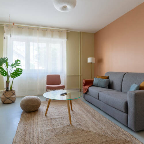 Le salon au canapé gris et aux couleurs fraiches et naturels, par Etymodéco, Magali Brustlein, Décoratrice et Expert Feng Shui à Saint Louis en Alsace